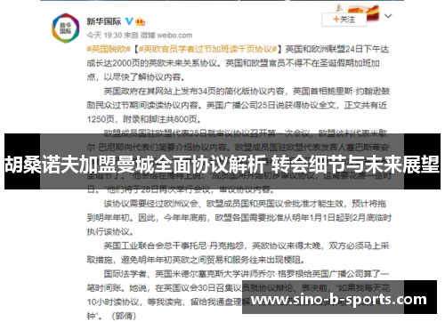 胡桑诺夫加盟曼城全面协议解析 转会细节与未来展望