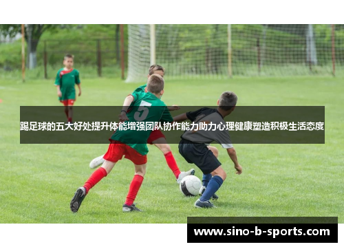 踢足球的五大好处提升体能增强团队协作能力助力心理健康塑造积极生活态度