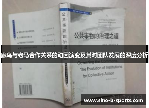 魔鸟与老马合作关系的动因演变及其对团队发展的深度分析