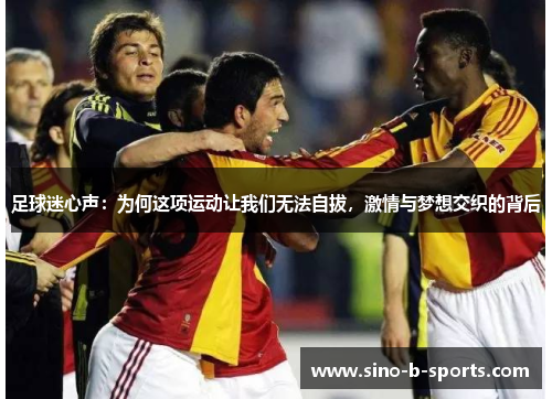 足球迷心声：为何这项运动让我们无法自拔，激情与梦想交织的背后