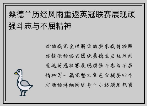 桑德兰历经风雨重返英冠联赛展现顽强斗志与不屈精神